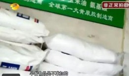 爆料明胶事件视频播放下载,视频播放下载背后的真相曝光